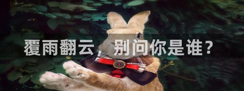 奇漫屋怎么下载漫画