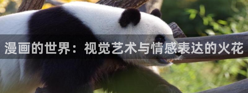 101宠物恋人漫画免费下拉式奇漫屋